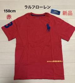 ラルフローレン ビッグポニー 半袖 Tシャツ 赤 150cm 新品