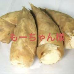てんぷら先斗町様京都山城産朝掘り筍4kgクール便