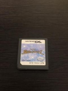 魔法にかけられて　DS 訳アリ