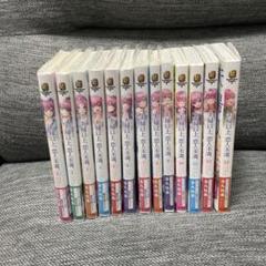 夫婦以上、恋人未満全巻セット