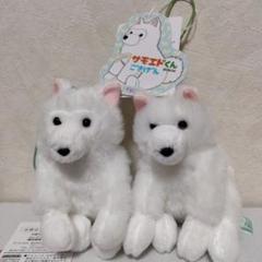 ≪9月の新商品≫くったりサモエドくん-NEW ITEM！｜アミューズ