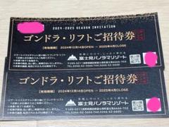 富士見パノラマリゾート　ゴンドラ・リフトご招待券 2枚セット 値下げ！【大人1名1日無料】富士見パノラマリゾートゴンドラ