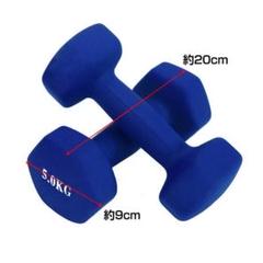 ダンベルセット 5キロ×2個 計10キロ 5kg 計10kg 鉄アレイ【青