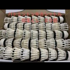 バドミントン中古シャトル YONEX 中古バドミントンシャトル 120個 - メルカリ - シャトル