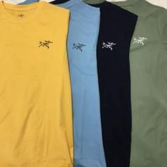 大人気アークテリクスTシャツ Sサイズ バンブーファイバー