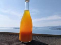 追加!! 2ケース限定販売）最高級みかん100%ジュース 720ml×6本入