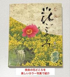 【初版】植物図鑑（四季花ごよみ）全5分冊 講談社　箱：帯付き ENCYCLOPEDIA OF FLOWERS Ⅴ 植物図鑑｜青幻舎 SEIGENSHA Art