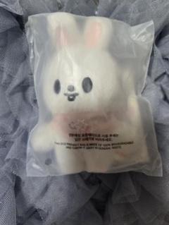 stray kids スキズ　skzoo テディベア　ぬいぐるみ　リービット Stray Kids SKZOO 抱きぬいぐるみ スキズ SKZ リービット - メルカリ