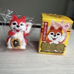 2025年最新】マンウィズ ぬいぐるみ サンタモニカの人気アイテム