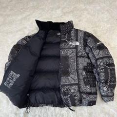 美品THE NORTH FACEノースフェイスLノベルティNovelty