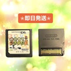【✮即日発送✮】Nintendo DS 咲かせて！ちびロボ！※ソフトのみ