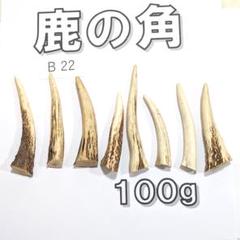 鹿の角　20本　まとめ売り 鹿の角 B22- 8本セット 約100g 鹿角 鹿ツノ しかつの - メルカリ