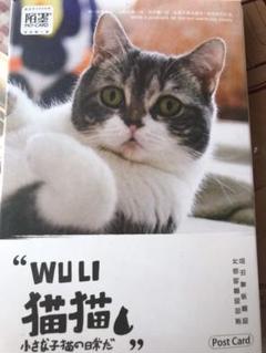 猫のポストカードセット