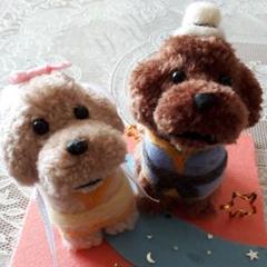 動物ぽんぽんプーの七夕❗