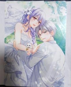 はめふら サイン本 特典 イラストペーパー ビジュアルボード まとめ売り はめふら サイン本 特典 イラストペーパー ビジュアルボード