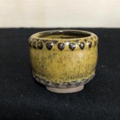 陶翠　絵付け鉢　小品盆栽　山野草 陶翠盆栽鉢小品盆栽山野草