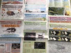 2024年最新】奈良オオクワセンターの人気アイテム - メルカリ