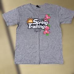2016年春のトレーニングTシャツ 宮崎