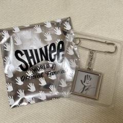 SHINee ジョンヒョン ピチナ キーホルダー JONGHYUN 빛이나 SHINee ジョンヒョン ピチナ キーホルダー JONGHYUN 빛이나