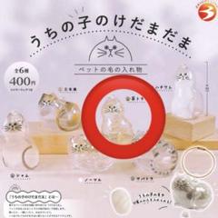 正規品　うちの子のけだまだま 茶トラ　ガチャガチャ
