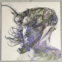 Bibio - Ribbons レコード 限定パープル盤 2枚組