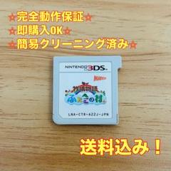 牧場物語 ふたごの村+ 3DS