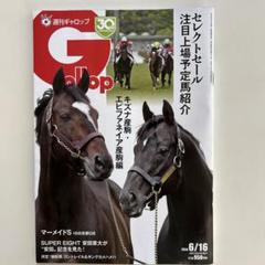JRA 競馬 勝負服 社台レース 安田厩舎 ルメール騎手サインか 中古品 レア品 JRA 競馬 勝負服 社台レース 安田厩舎 ルメール騎手サインか