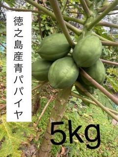 無農薬品　徳之島産パパイヤ　10kg強 徳之島産 青パパイヤ漬物 200g入 5袋セット（送料込