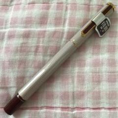 パイロット 14K 14金 万年筆 セレモ ゴールド 細字 F ストライプ 廃盤 パイロット 14K 14金 万年筆 セレモ ゴールド 細字 F ストライプ