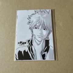 銀魂　大銀魂展　生ブロマイド　銀時　桂　坂本