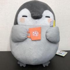 小泉遥香 ぬいぐるみ ちびぬい トレカ 新品 超ときめき♡宣伝部 小泉遥香 ときめきぬいぐるみ