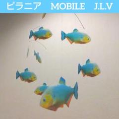 超激安。冷凍ピラニア✨８種類セット✨標本用✨おまけ付き! 超激安。冷凍ピラニア✨8種類セット✨標本用✨おまけ付き!