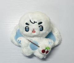 エスクプス　ぬいぐるみ　10cm seventeen マスター　人形　쿱니니 エスクプス ぬいぐるみ 10cm 新品 マスター セブチ seventeenの