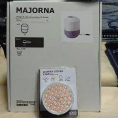 MAJORNA