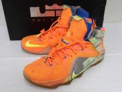 Nike Lebron XIIの中古/未使用品 - メルカリ Nike Lebron XIIの中古/未使用品 - メルカリ