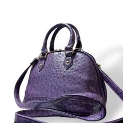 美品　希少色　オーストリッチ　ハンドバッグ　ショルダー　２way　紫