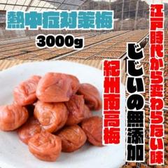 人気爆発！紀州南高梅 樽 10kg かわあつ梅 無添加 和歌山 紀州 白梅 10kg 農家直送 紀州南高梅 樽 つぶれ梅 かわあつ梅 無添加