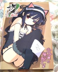 閃乱カグラ Burst 特典 少女達の極秘ファイル
