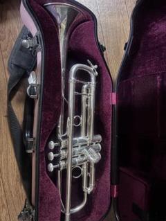 Bach アルティザン ストラディバリウス A3101 Bach アルティザン ストラディバリウス A3101 - メルカリ