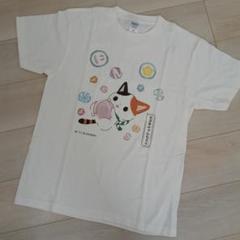 未使用 かぶきにゃんたろうTシャツ　M　クリーム