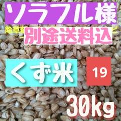 くず米 玄米 30kg くず米30キロ