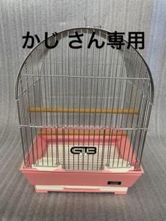 楽天市場】【ポイント5倍】 BIRDIE BILL 「リアルな鳥のオブジェ