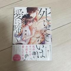 ボーイズラブ漫画11冊セット 特典付き