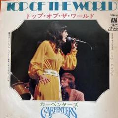 Carpenters – Goodbye To Love – Vinyl (Pitman Pressing, 7