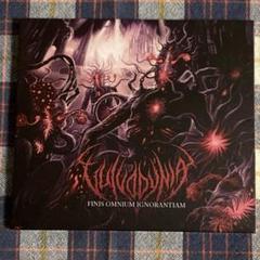 Vulvodynia CD セット デスコア ブルデス デスメタル ビート