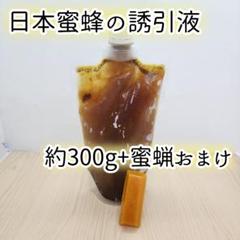 2025年最新】日本蜜蜂誘引液の人気アイテム - メルカリ