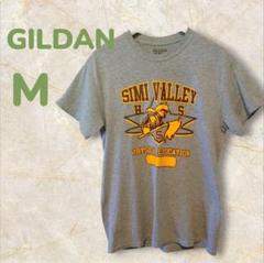 GILDAN　Simi Valley HS Tシャツ Mサイズ グレー