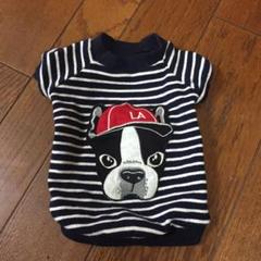 ワンちゃん用服 M