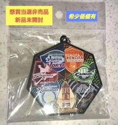 希少！★プライドオブ中四国メダル★非売品のサムネイル