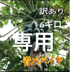 青パパイヤ★6キロ★訳あり